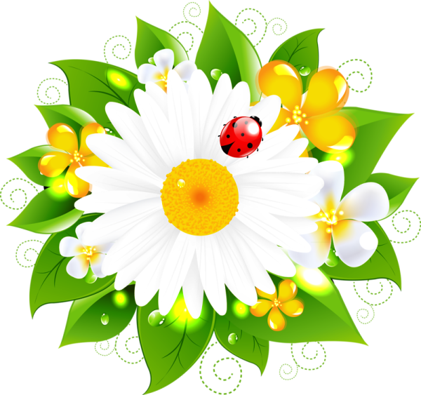 Ромашки мультяшные