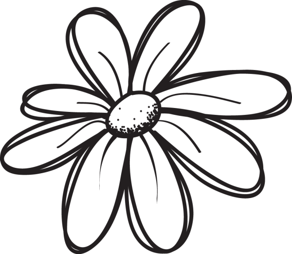 Цветочки ромашки