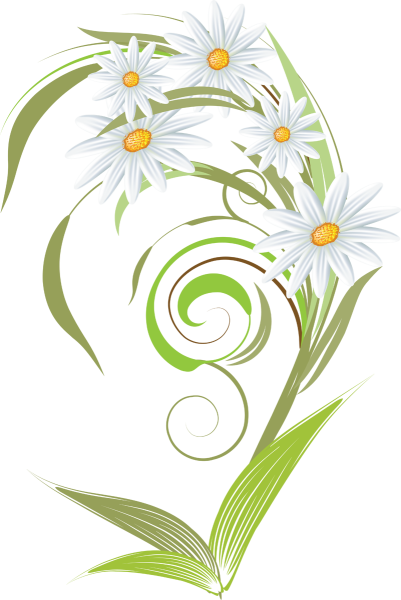 Стилизованные ромашки