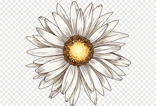 Узор Ромашка