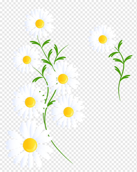 Векторные ромашки