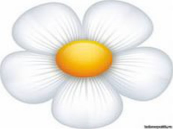 Ромашки мультяшные