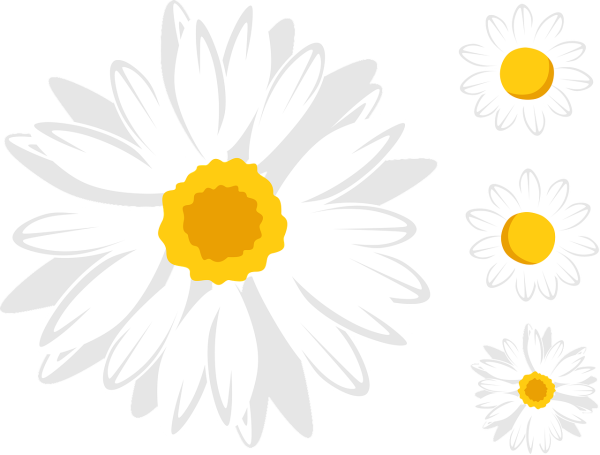 Ромашка вектор