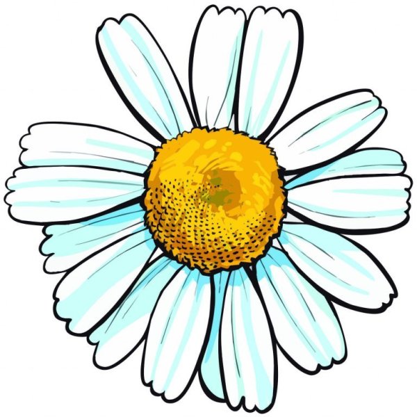 Ромашки мультяшные