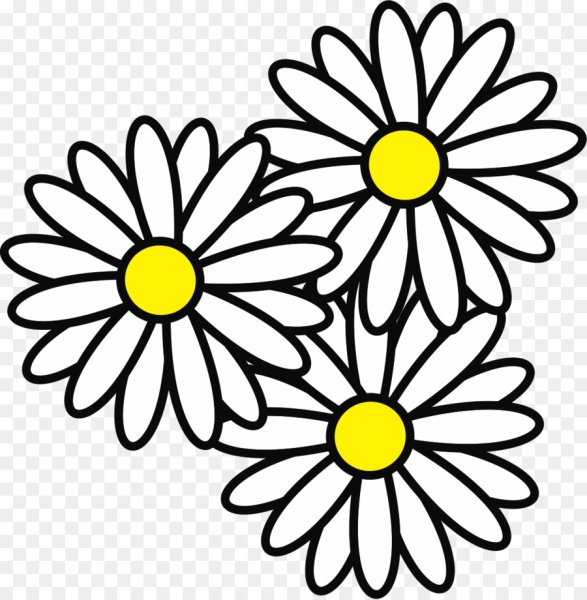 Ромашка нарисованная