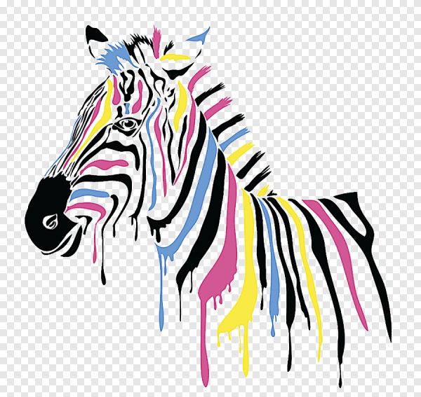 Векторные изображения цветные