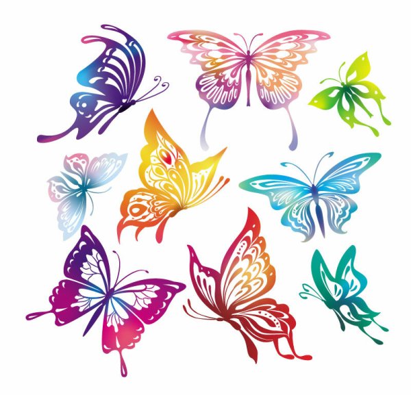 Бабочка вектор цветная