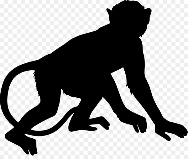 Тень обезьяны