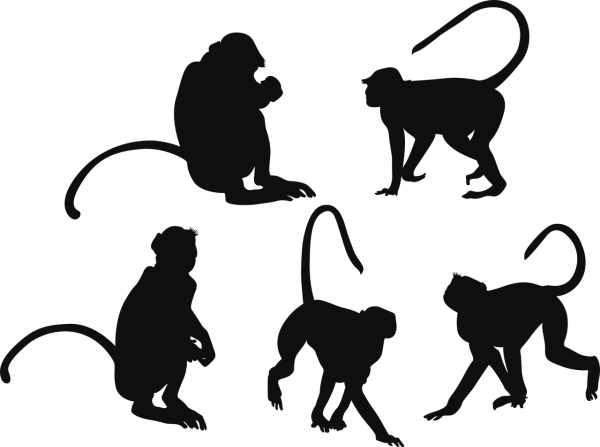 Шимпанзе силуэт