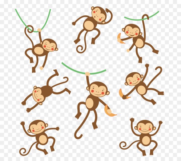 Обезьяны в разных позах