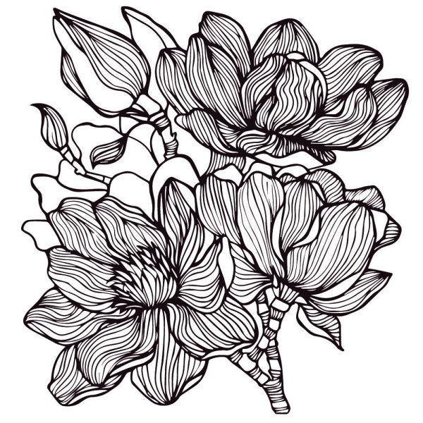 Набросок линией цветок