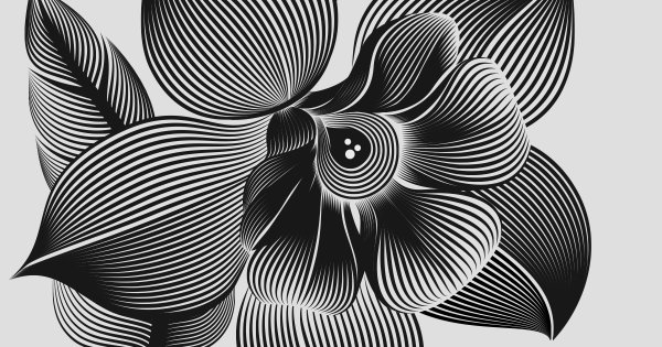 Линейная Графика