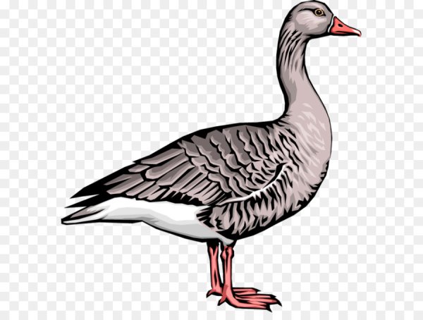 Векторный Гусь