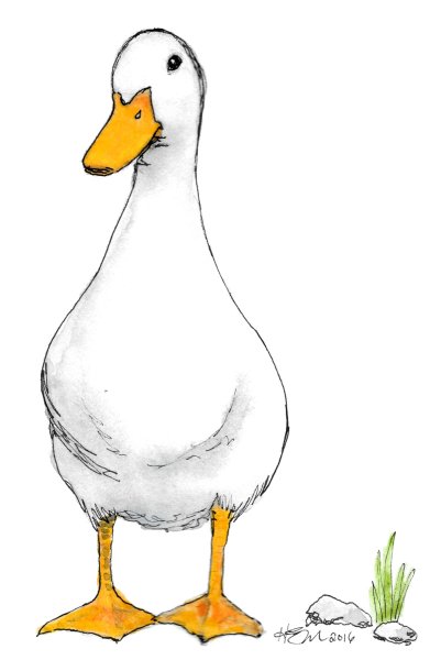Гусь иллюстрация