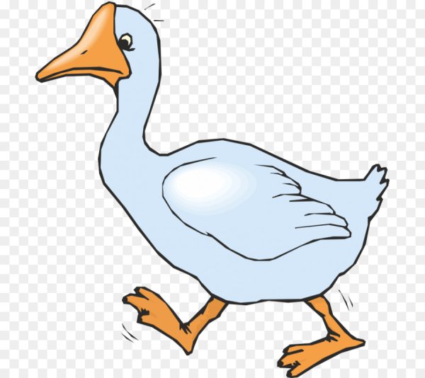 Гусь на белом фоне для детей