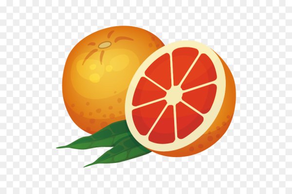 Грейпфрут вектор