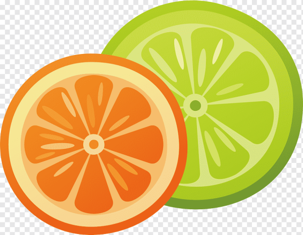 Мандарин вектор