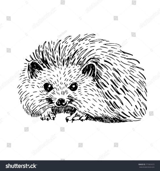 Гравировка Ежик