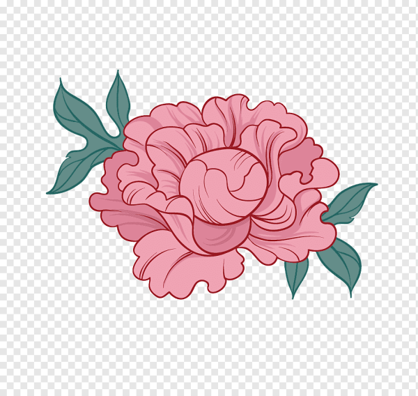 Пионы вектор