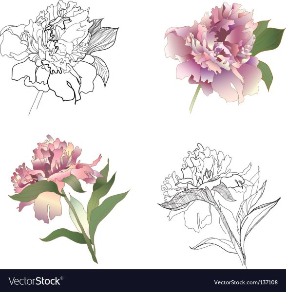 Пион стилизованный стилизованный