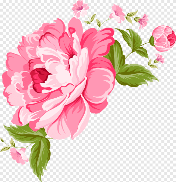 Цветы вектор