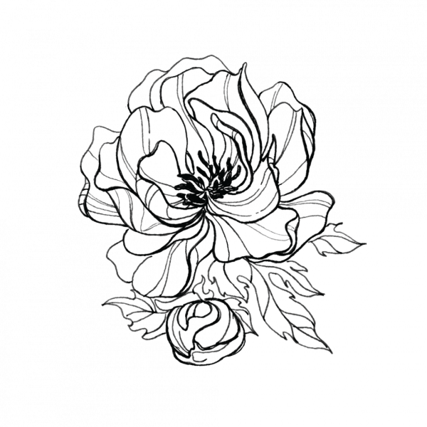 Пионы стилизация