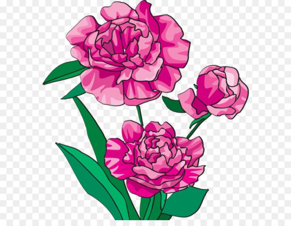 Пионы мультяшные