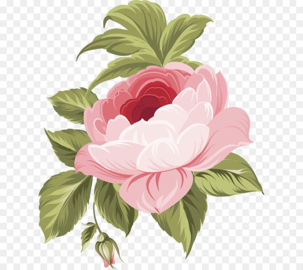 Пионы мультяшные