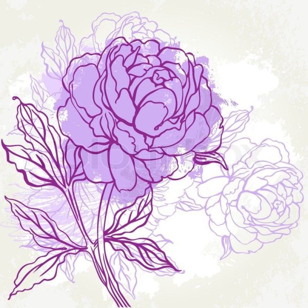 Цветы пионы стилизация