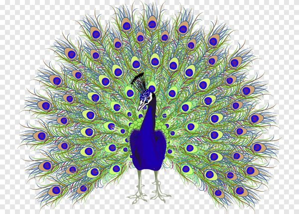 Павлин Аквилейский