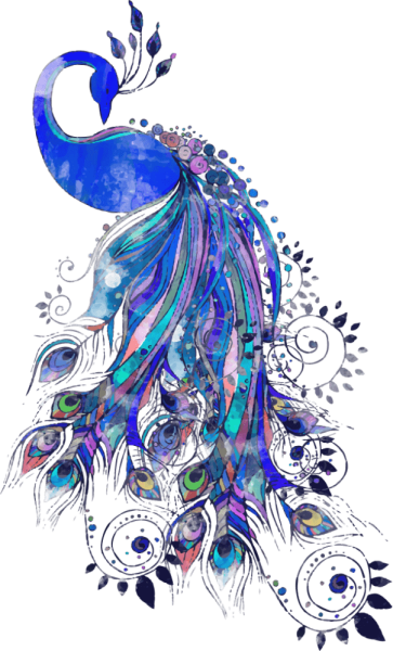 Павлинье перо акварель