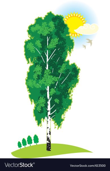 Береза для малышей