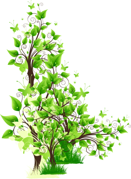 Веточка зеленого дерева