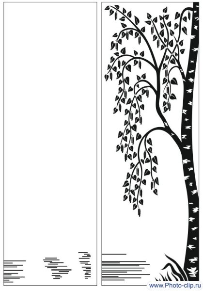 Береза рисунок