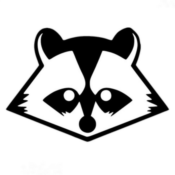 Морда енота