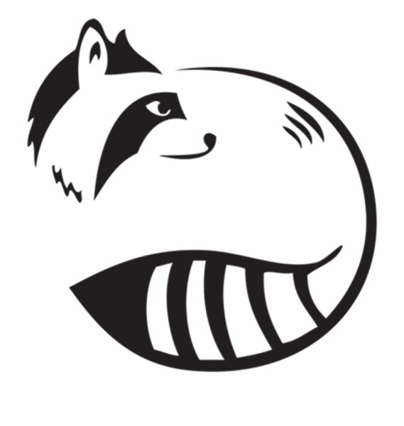 Енот черно белый