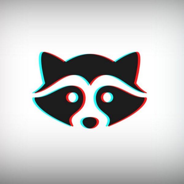 Силуэт енота морда