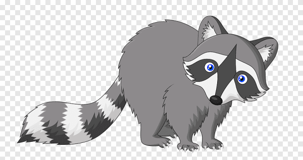 Мультяшные еноты