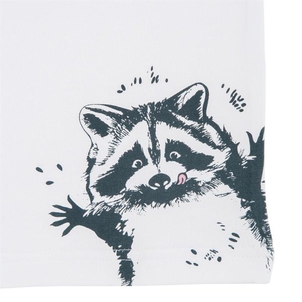 Енот Графика