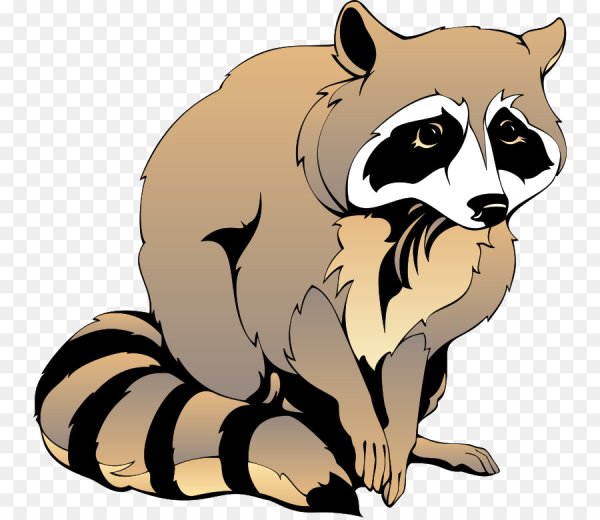 Енот мультяшный