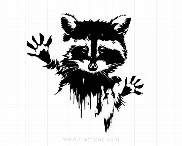 Енот Графика