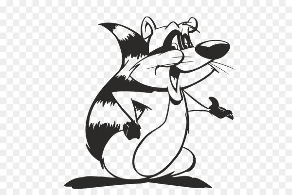 Енот рисунок