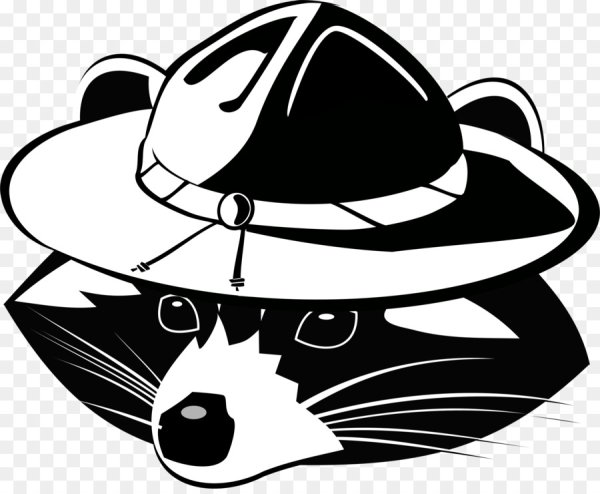 Енот в шляпе