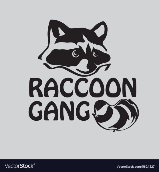 Raccoon эмблема