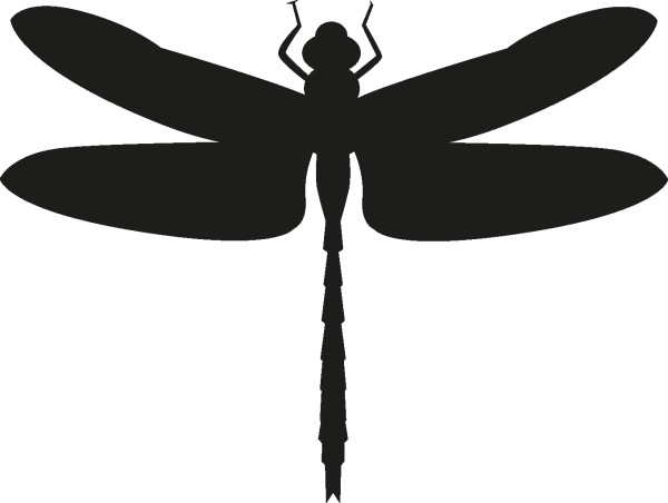 Очертания Стрекозы