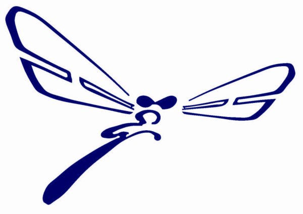 Dragonfly логотип