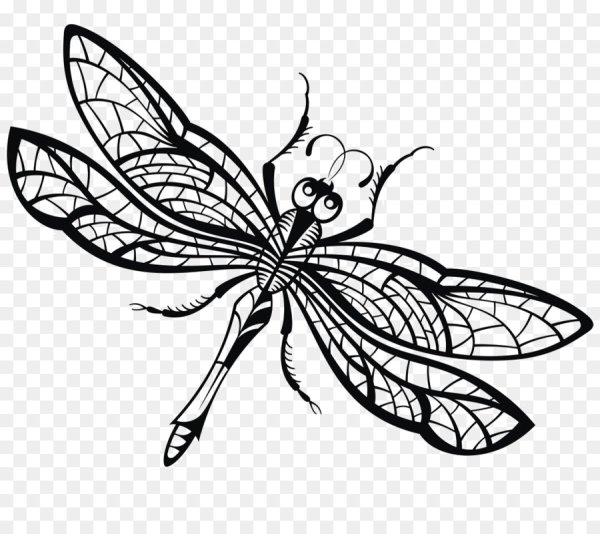 Стрекоза черно белый вектор