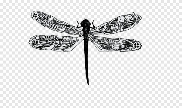 Стрекоза Графика