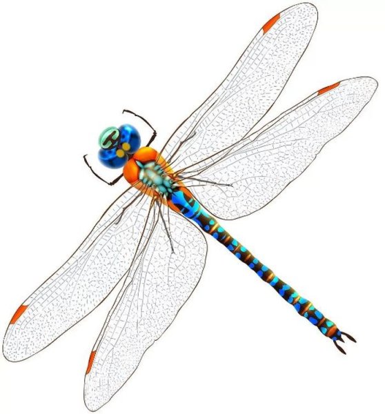 Стрекоза для детей