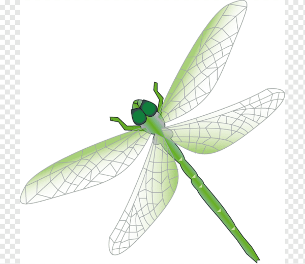 Стрекоза Векторная